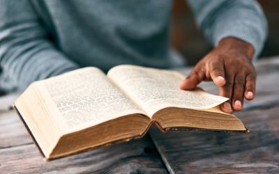 Understanding the Bible
